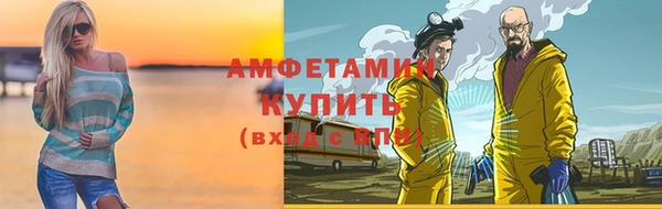 ГАЛЛЮЦИНОГЕННЫЕ ГРИБЫ Богданович
