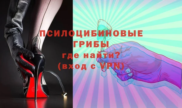 ГАЛЛЮЦИНОГЕННЫЕ ГРИБЫ Богданович