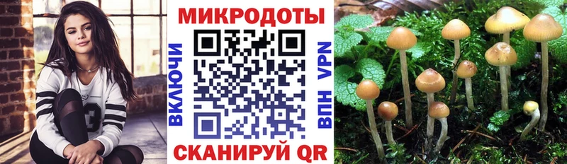 продажа наркотиков  Дигора  Галлюциногенные грибы Psilocybine cubensis 
